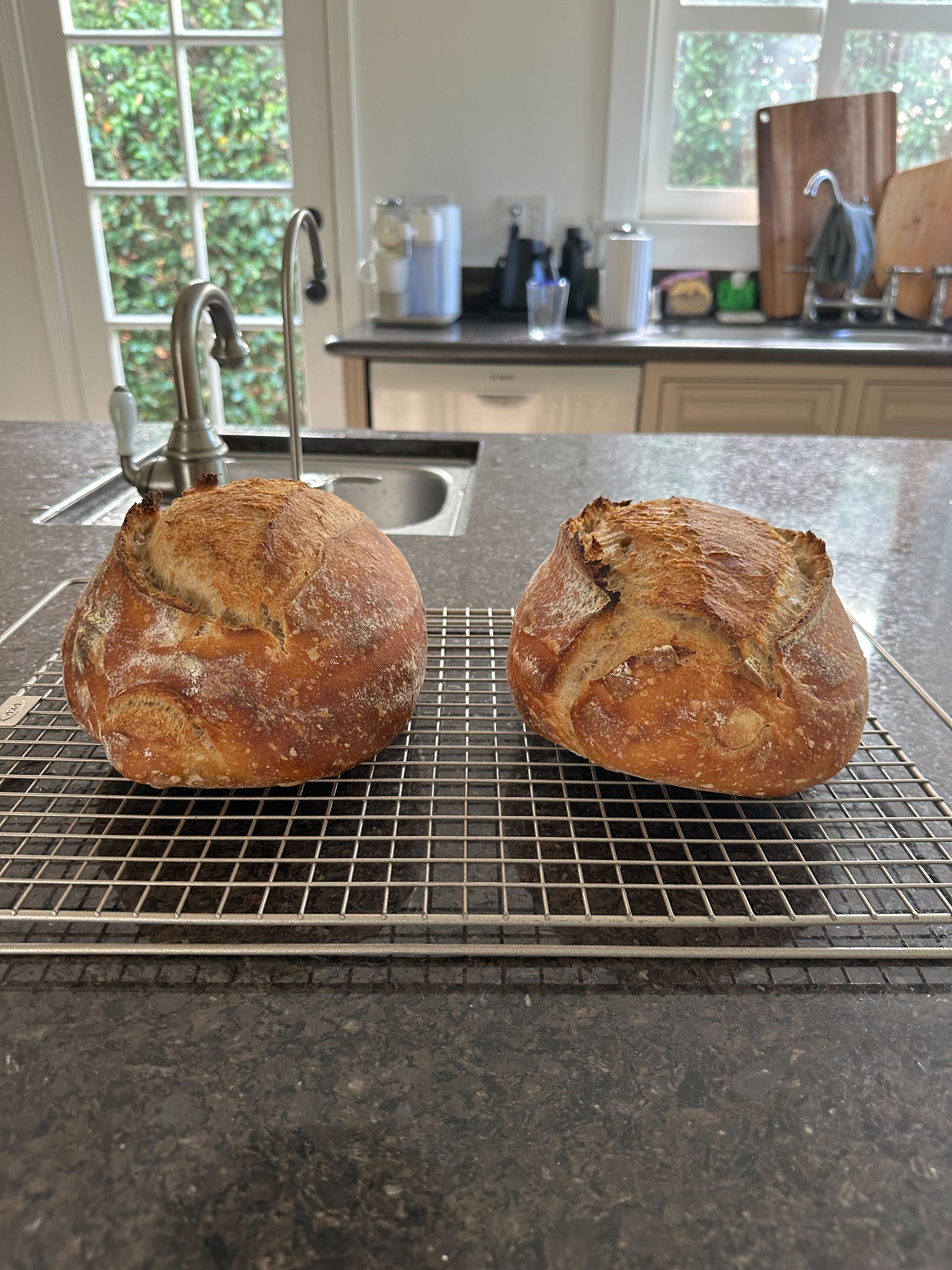Fifty-Fifty
Whole Wheat Sourdough Bread