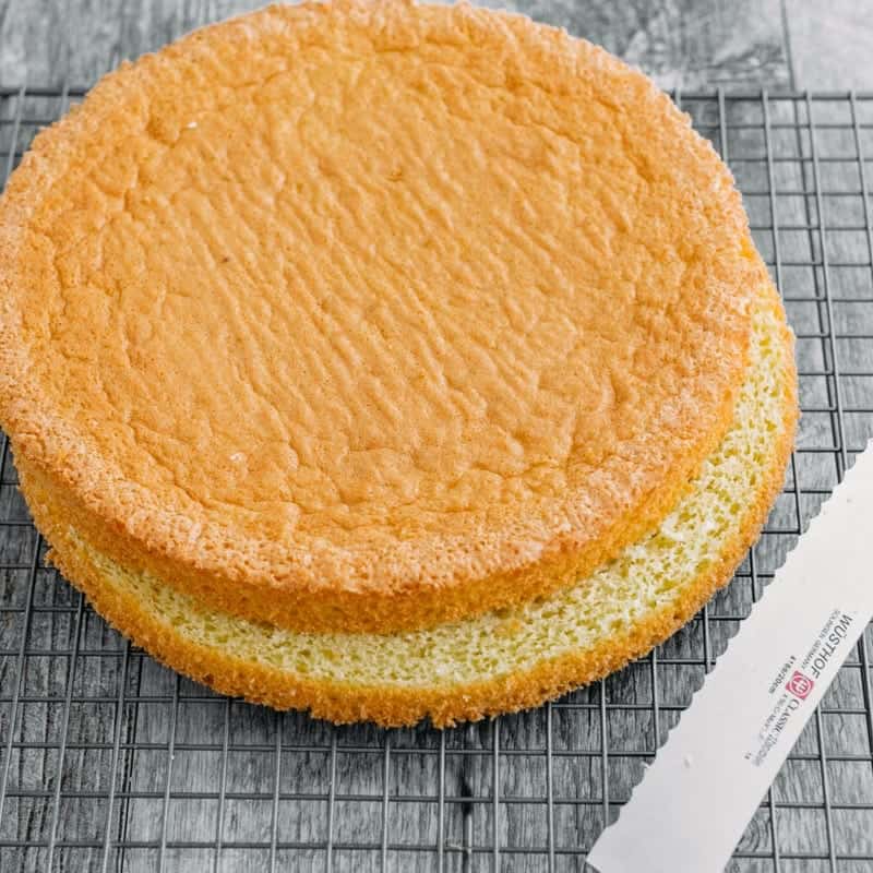 Sponge Cake