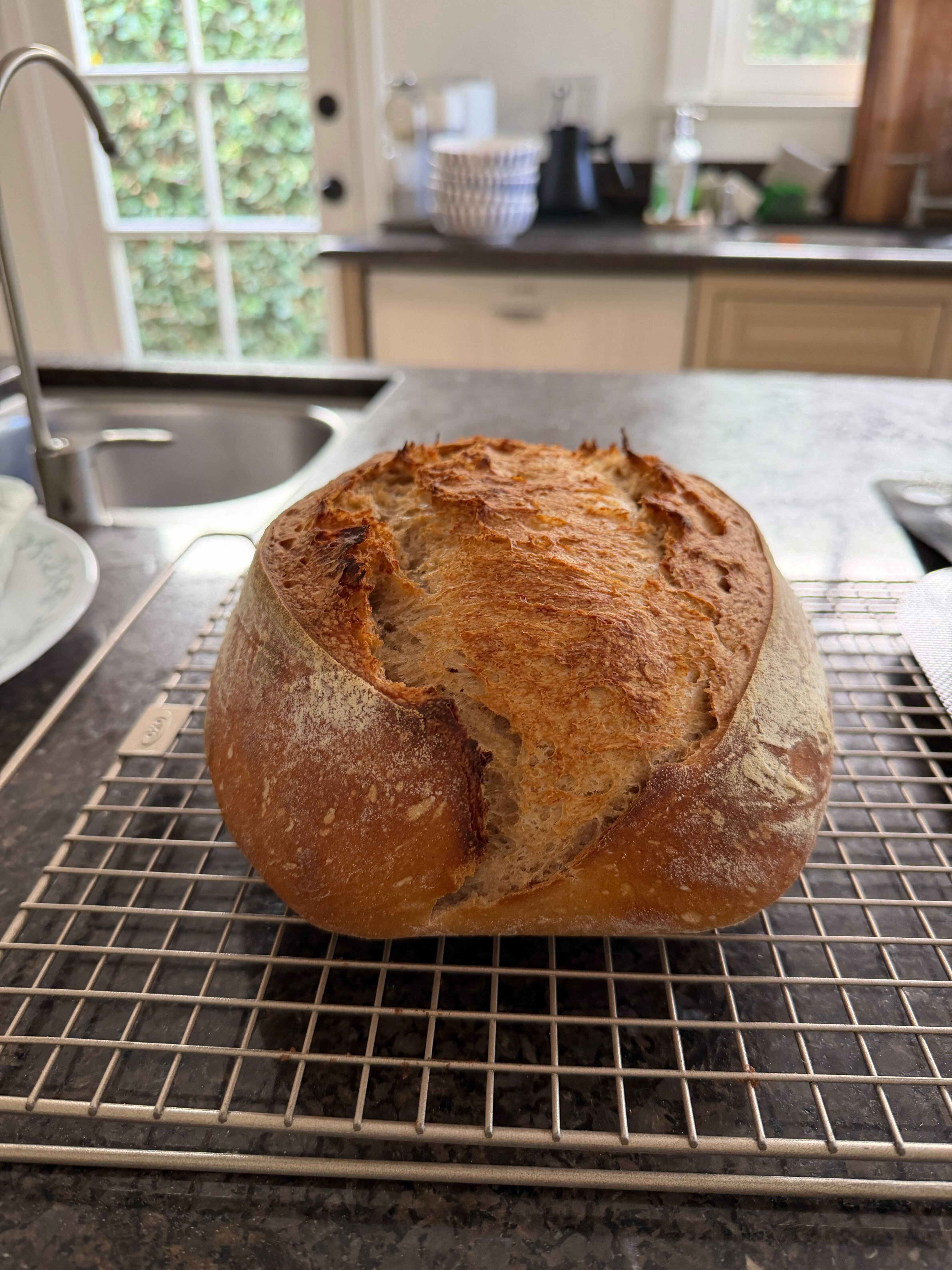 Twenty-five
Rye Sourdough Bread